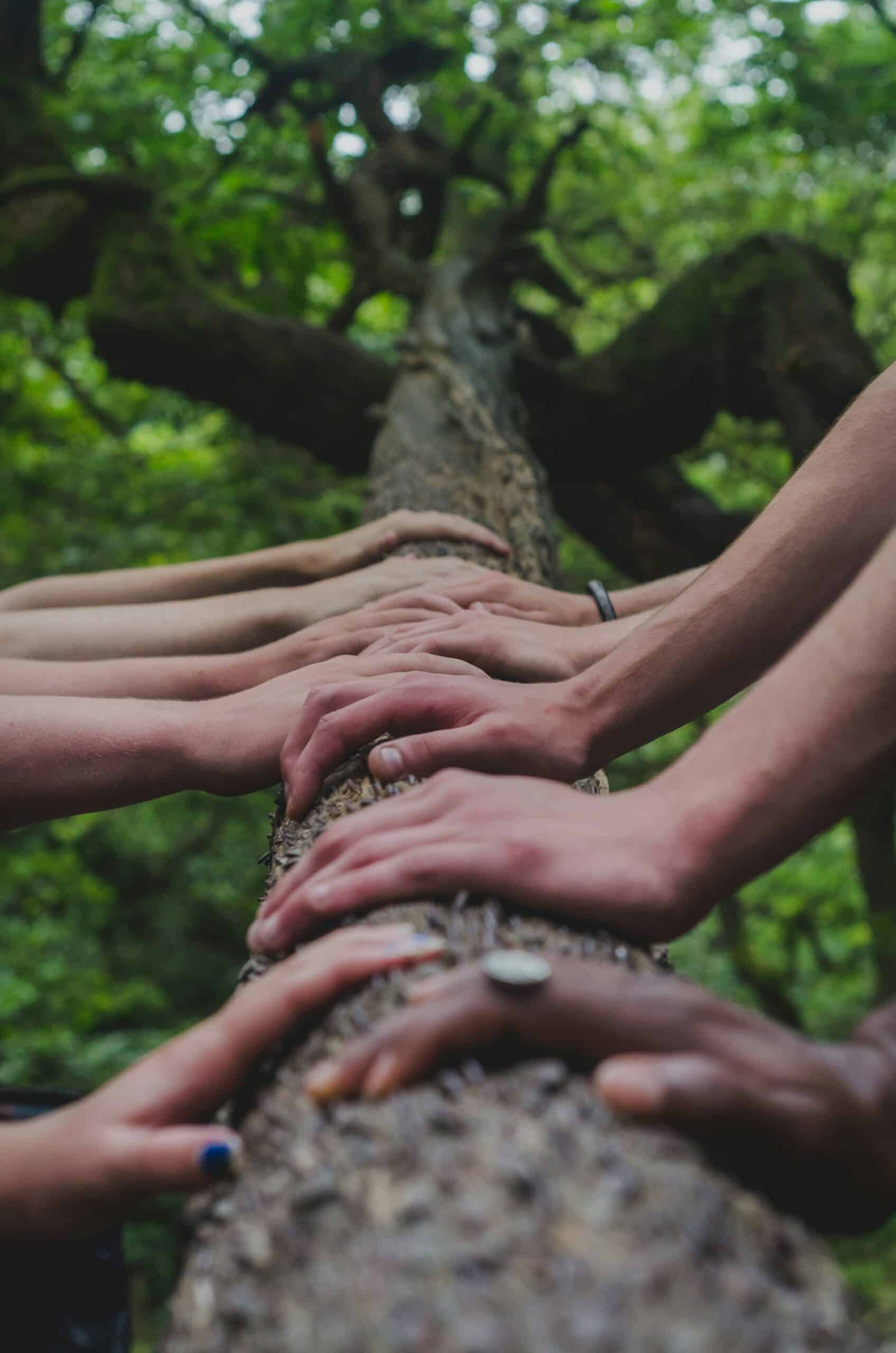 Read more about the article The Key to Marketing Success: The Role of a Dynamic Team Member