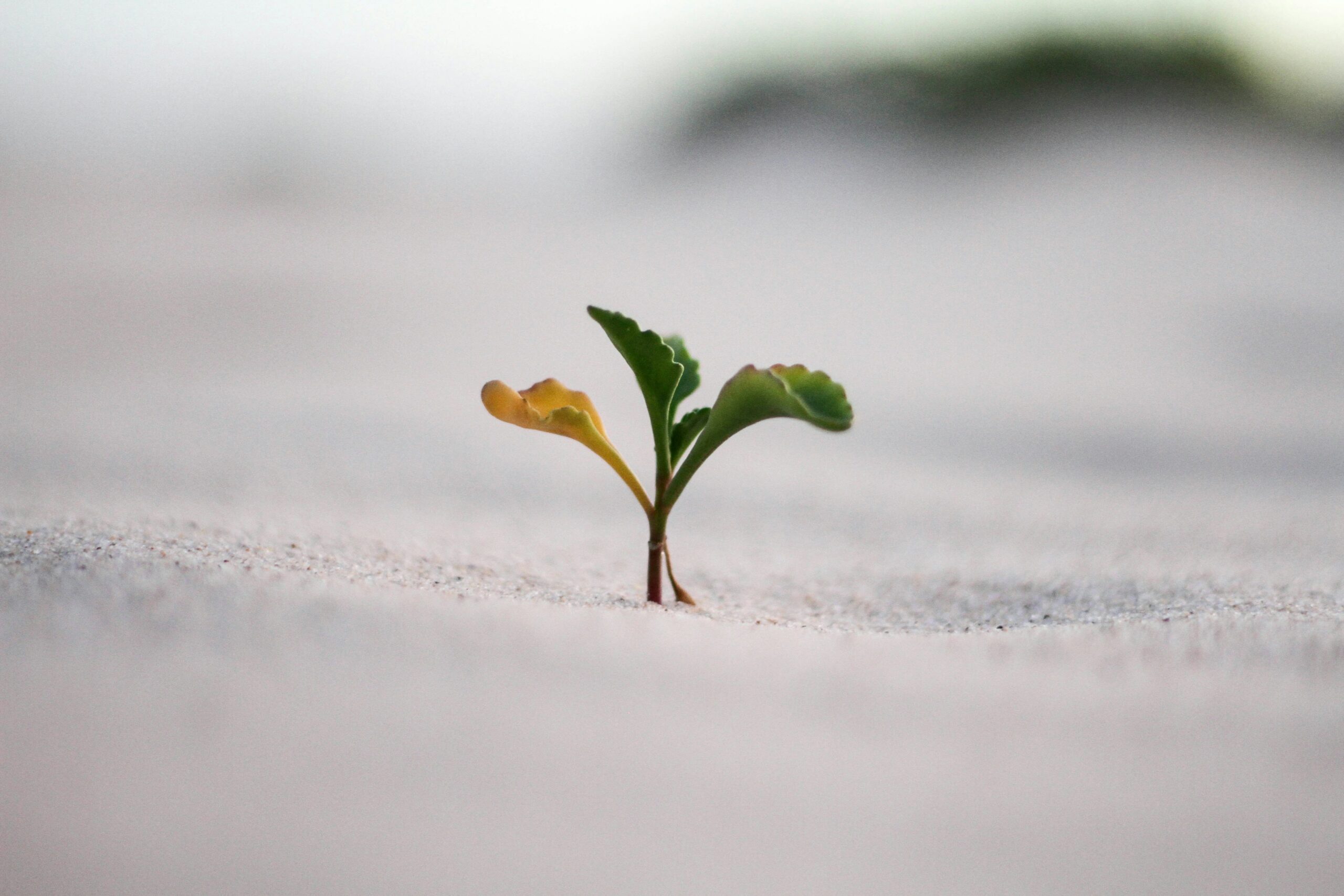 Read more about the article Harness the Power: Best Online Marketing Trends for Business Growth