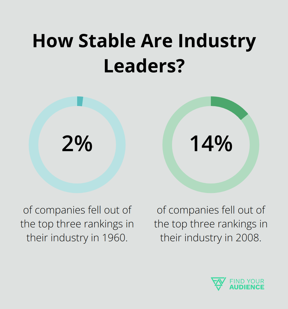 Fact - How Stable Are Industry Leaders?