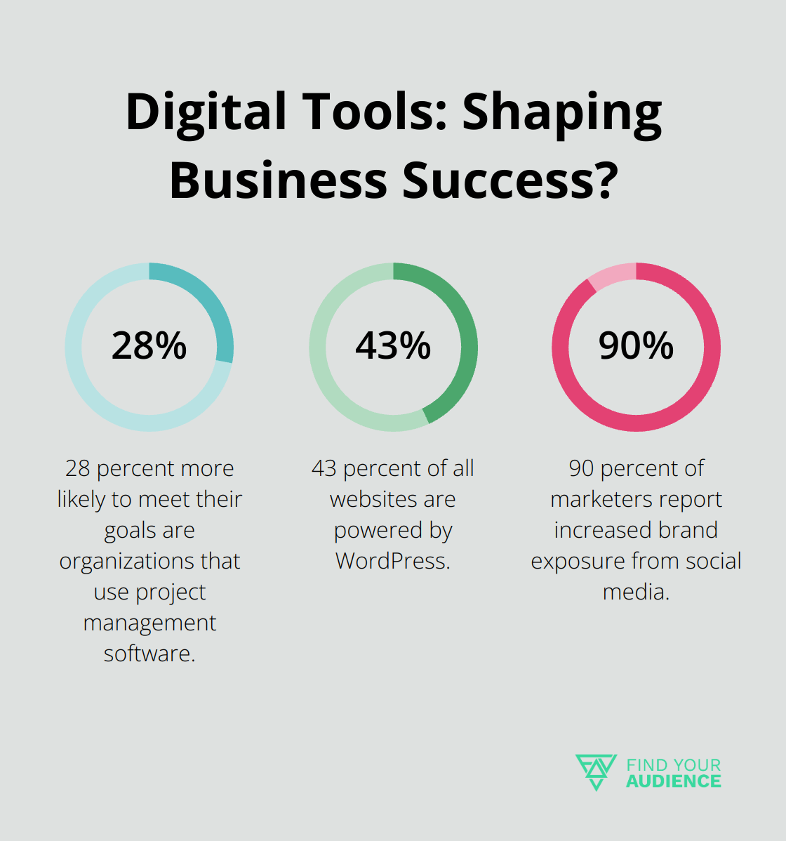 Fact - Digital Tools: Shaping Business Success?